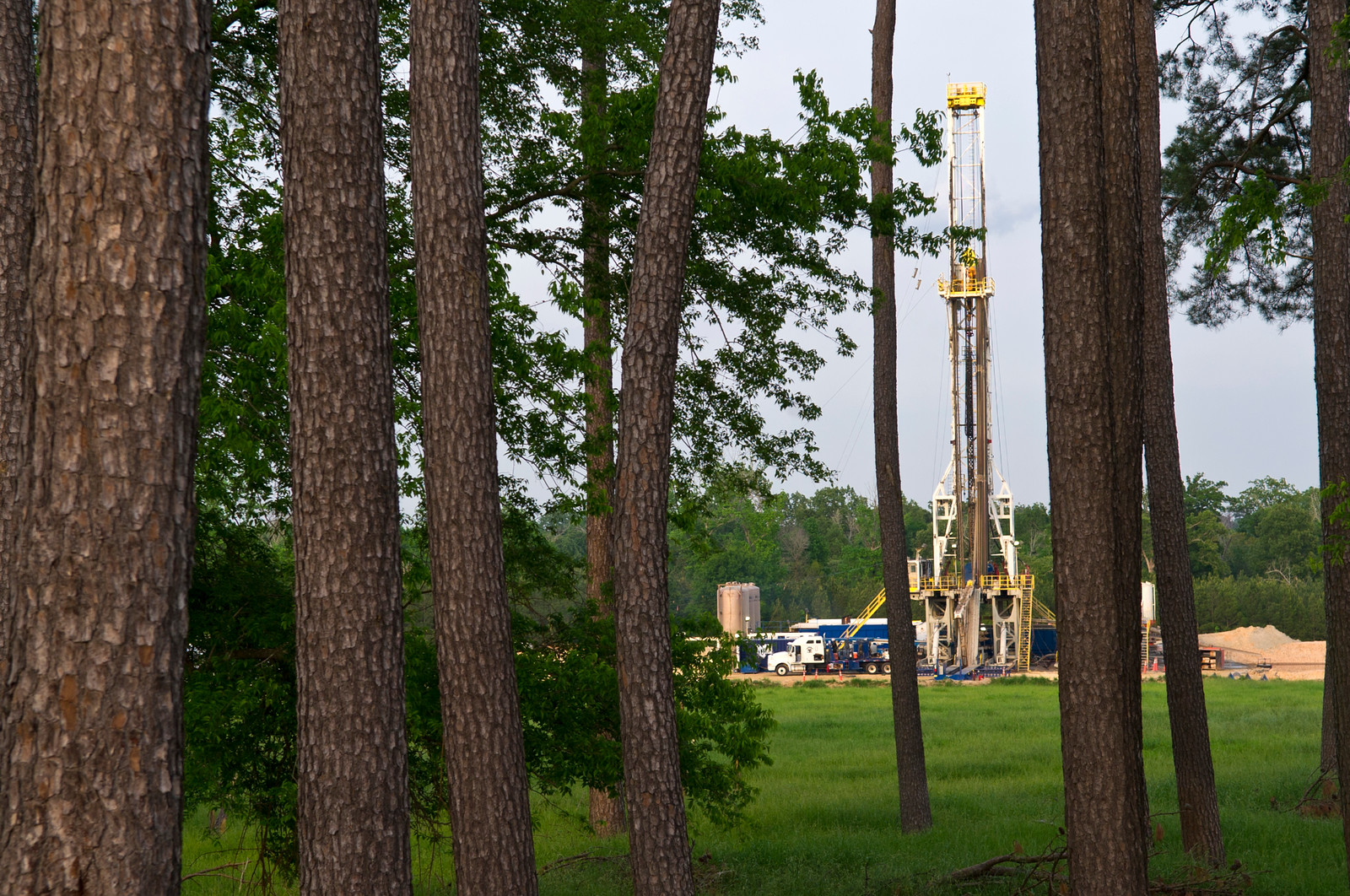 oil prices