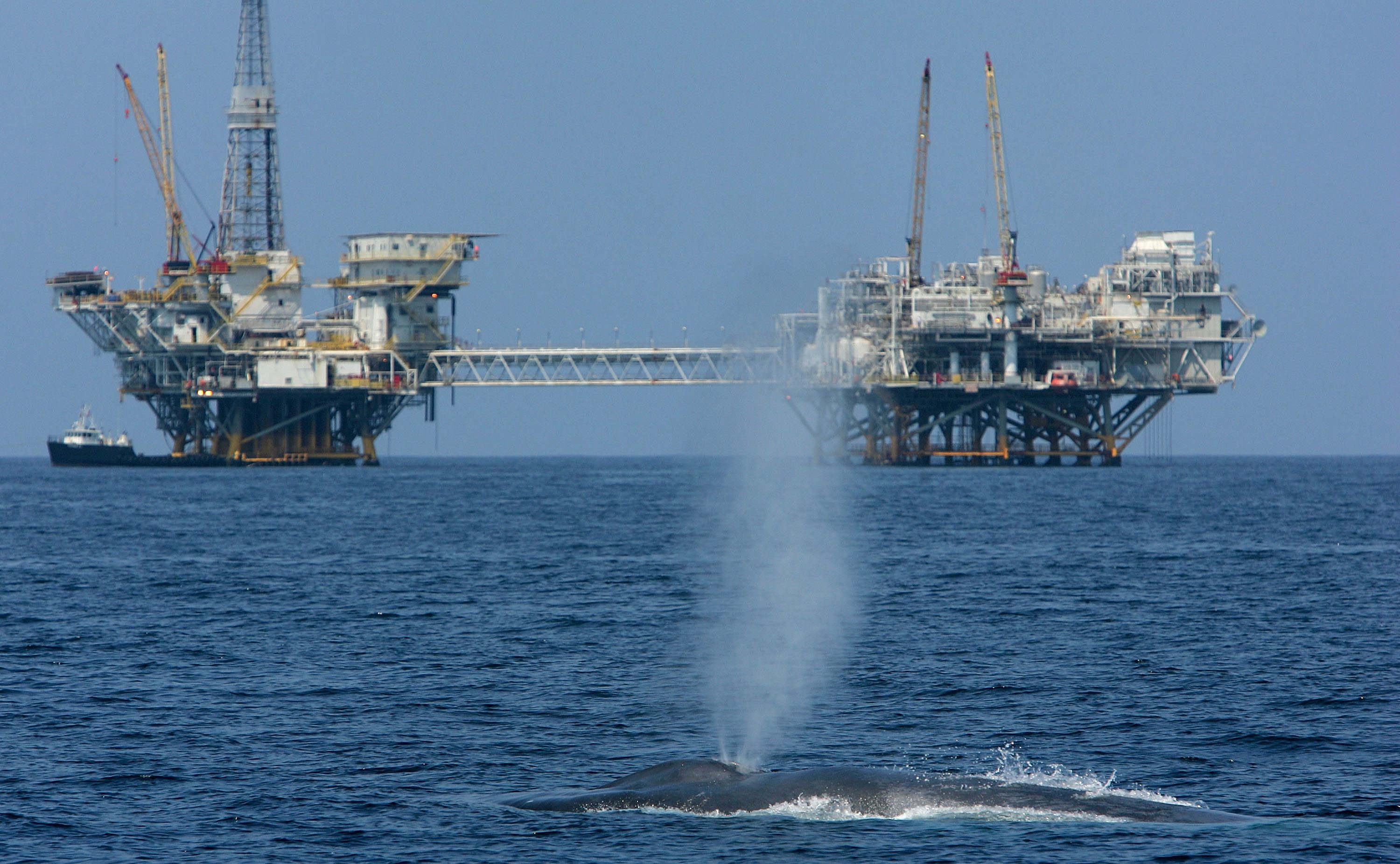 Trump offshore drilling