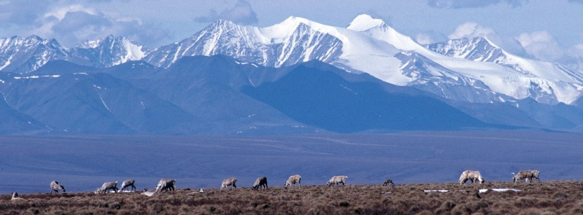 alaska oil leases