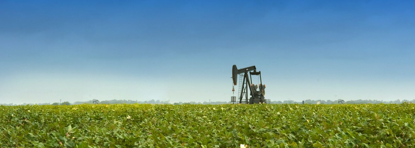 oil prices