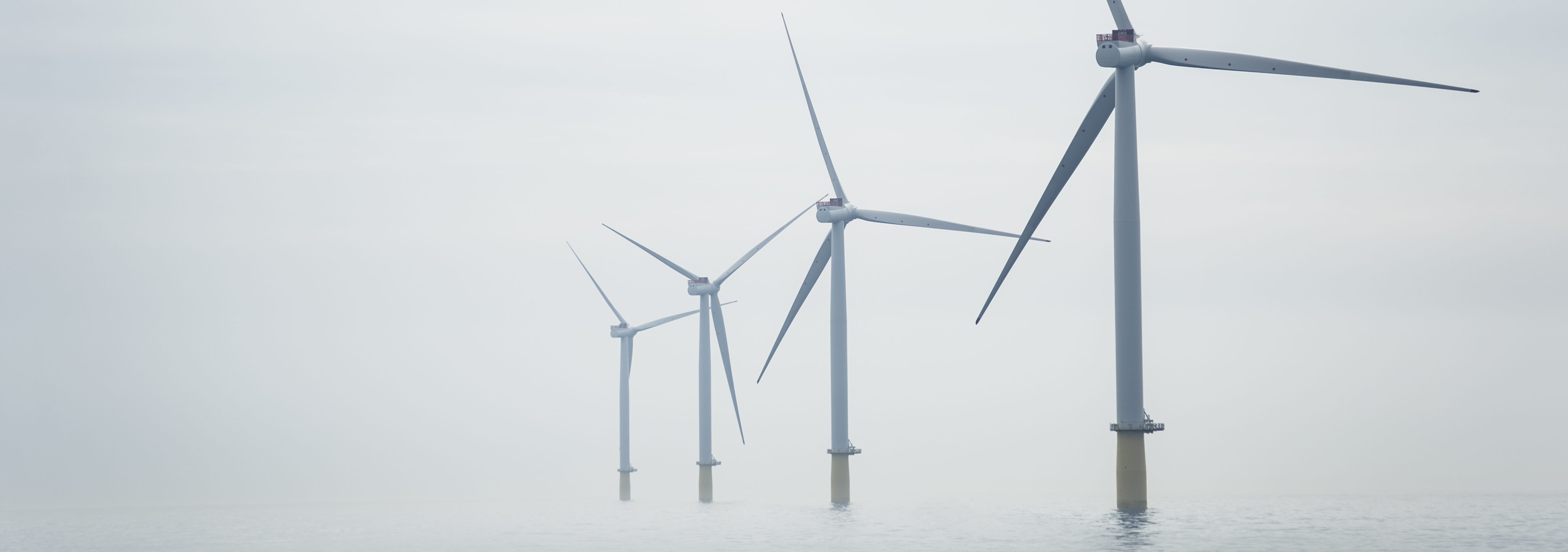 energy trends