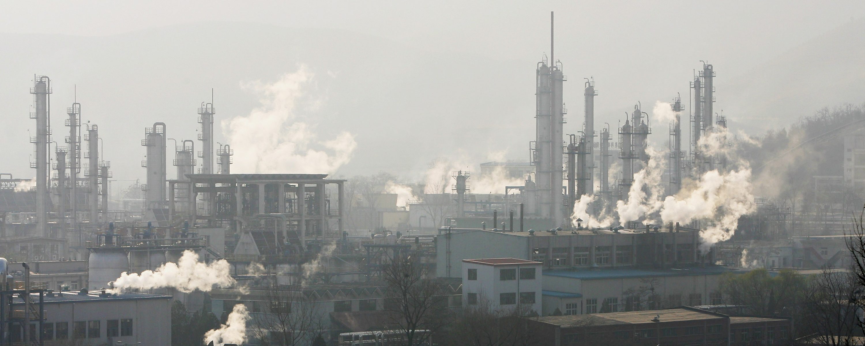 teapot refiners