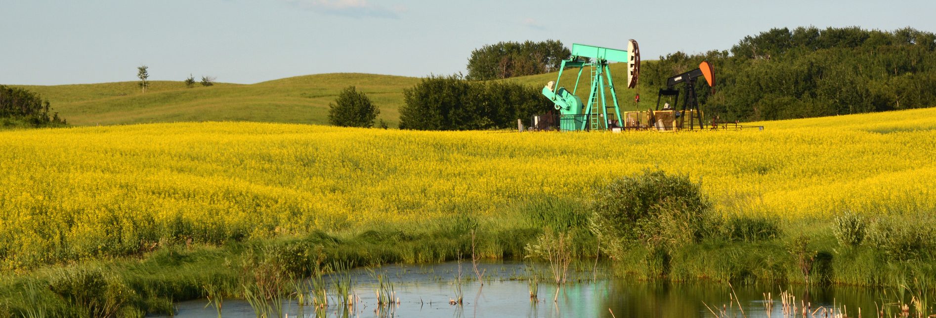oil prices
