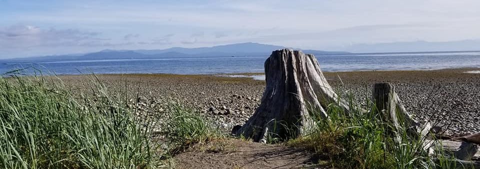 confessions of a recovering environmentalist and other essays