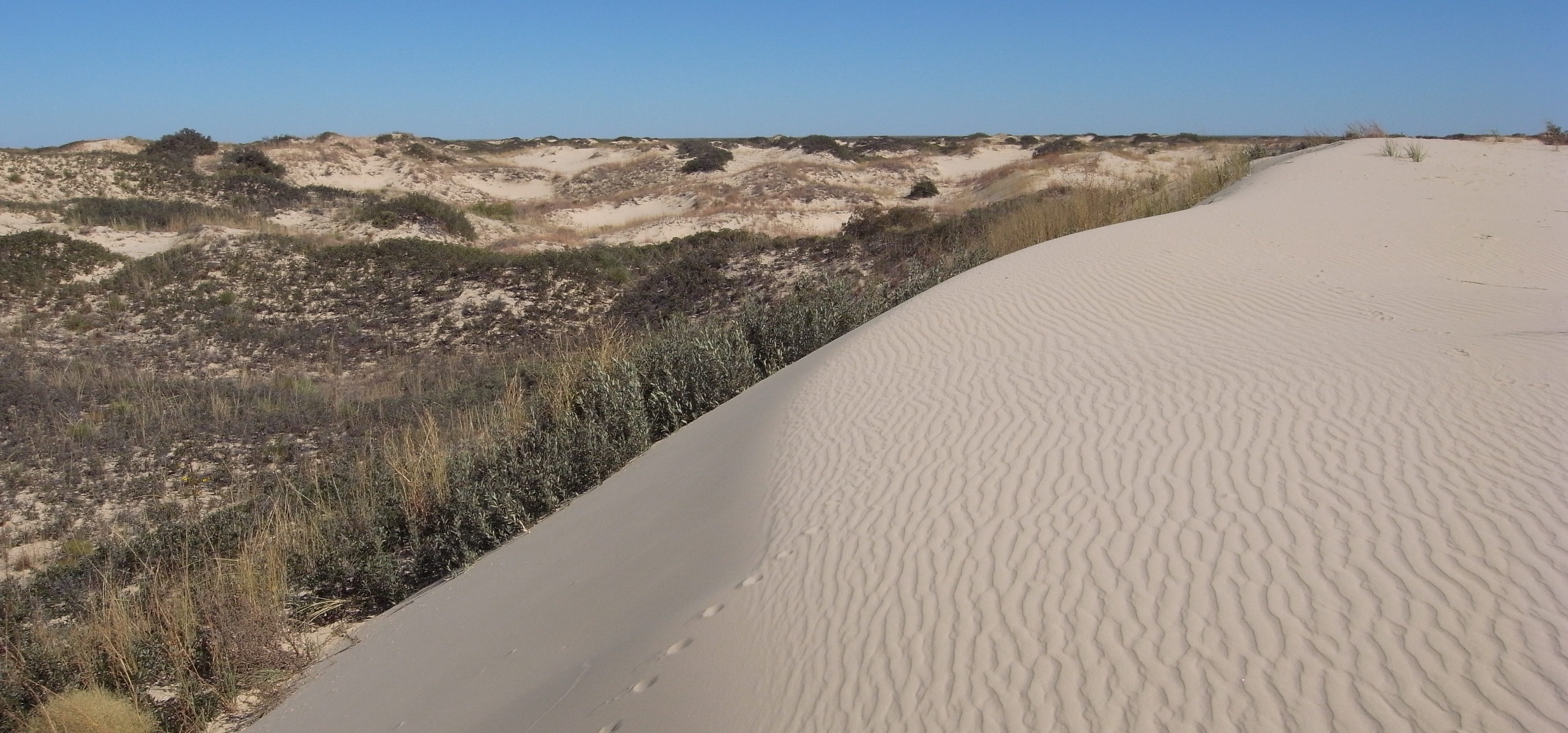 frack sand