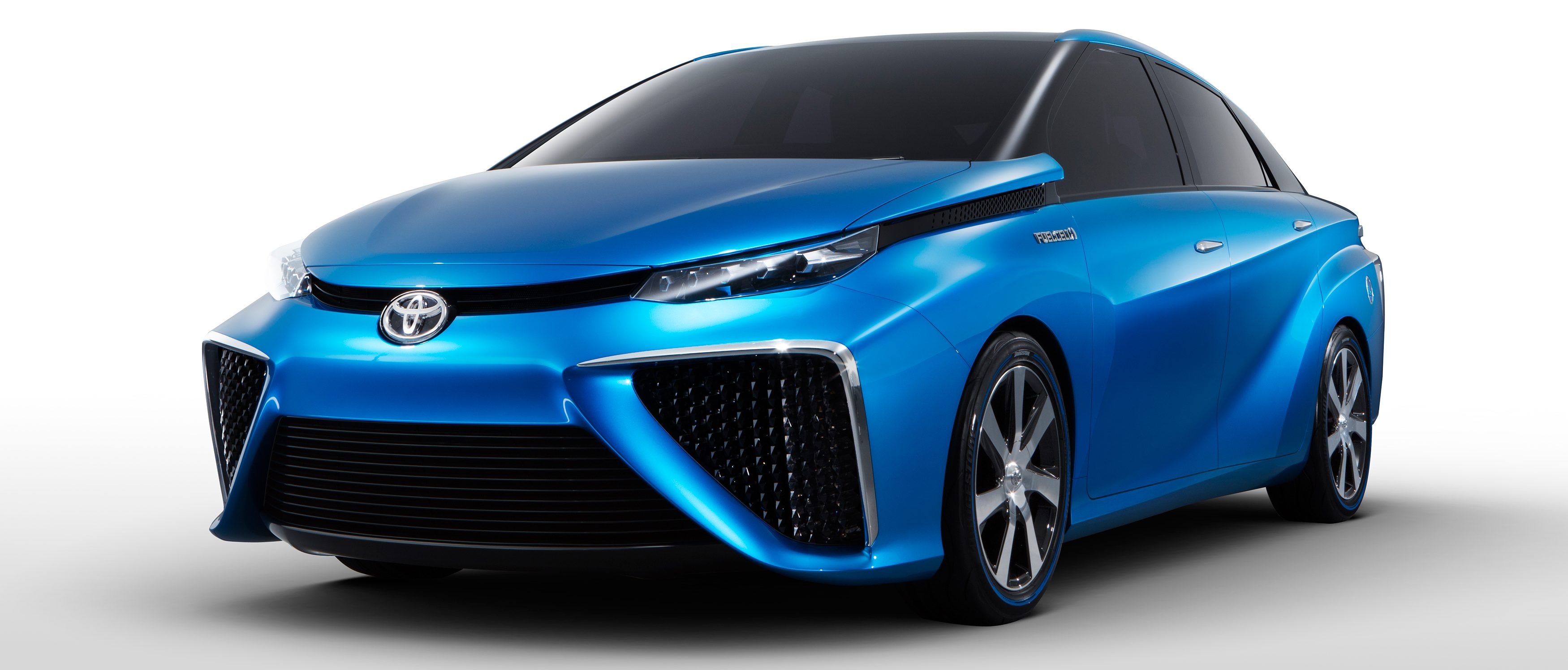 hydrogen fuel cell