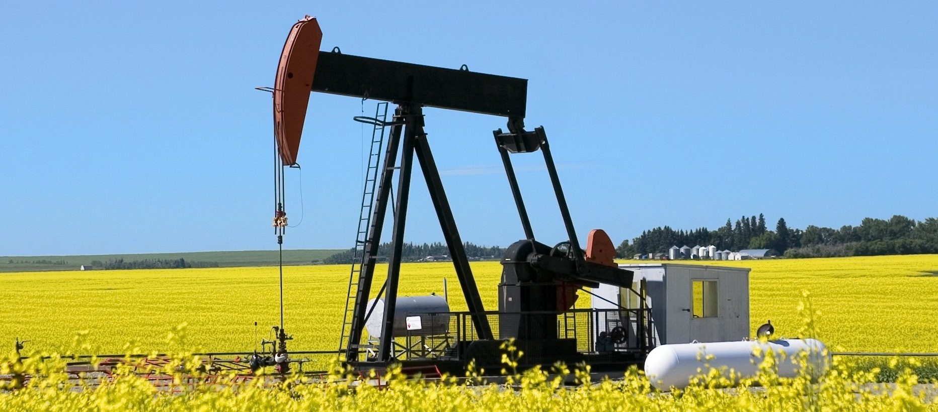 petrolia energy