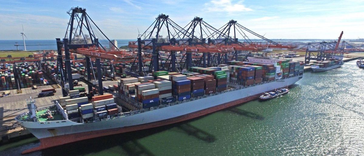 world trade