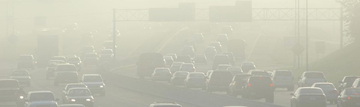 fuel efficiency standards