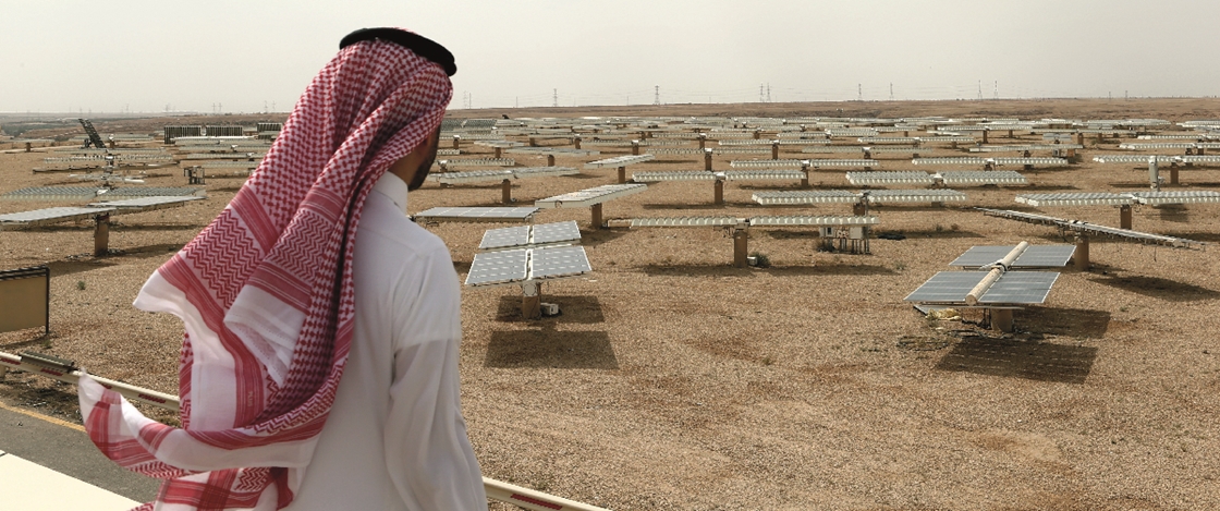 fossil fuel subsidies