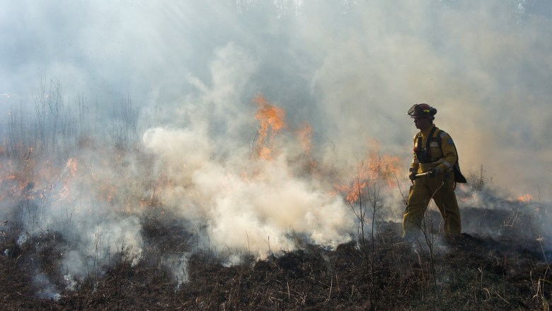 Alberta forest fires